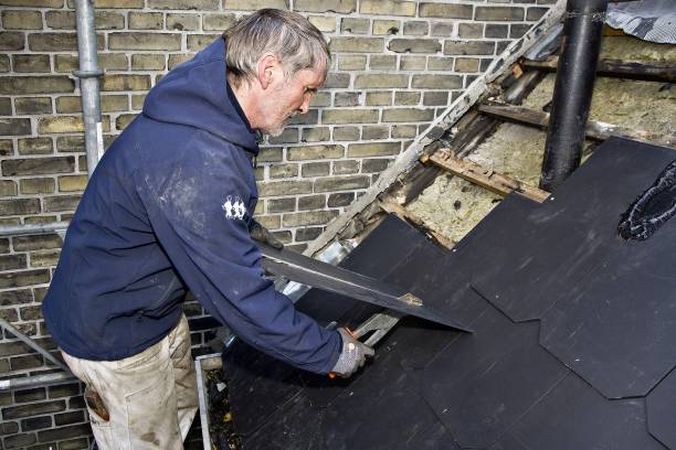 roof repair near me