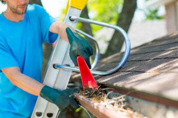 gutter cleaning
