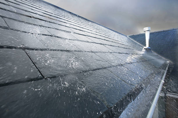 roof repair near me
