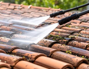 Roof Cleaning Services done by experts on a residential roof.