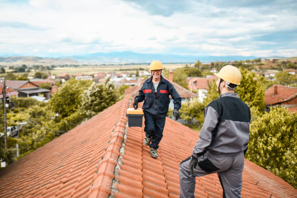 Home Roof Protection