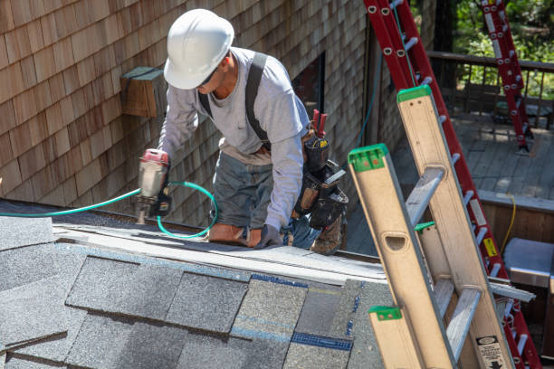 Roof Maintenance 