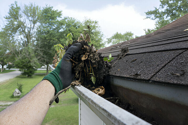 gutter cleaning services